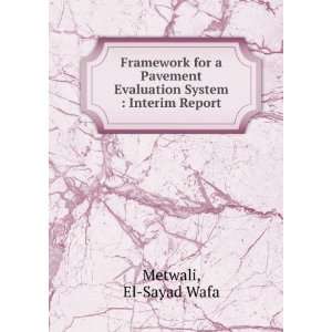   System  Interim Report El Sayad Wafa Metwali  Books