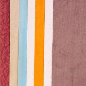  Dyed Wild Color Assortment, 3 Sq. Ft. Veneer Pack