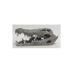   Crocodile Skull / Size Small By Blue Ribbon Pet Products