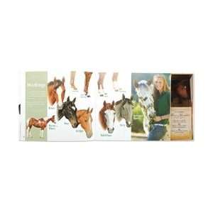  My Very Own Horse Book Book Kit Arts, Crafts & Sewing