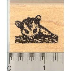  Small Baby Opossum Rubber Stamp Arts, Crafts & Sewing