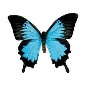  Paper House Magnets 1/Pkg Mountain Blue Butterfly; 3 Items 