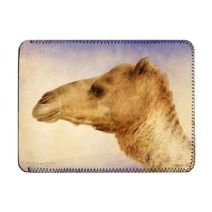  Portrait of the Artists Dromedary, 1862   iPad Cover 