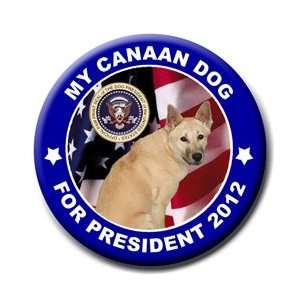 Canaan Dog For President 2012 Pin Badge Button