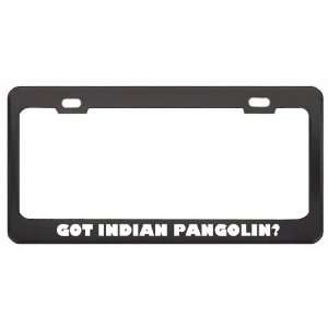 Got Indian Pangolin? Animals Pets Black Metal License Plate Frame 