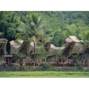  Traditional Village, Kete Kesu, Torajaland, Sulawesi 