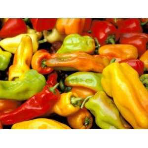 Peppers, Ferry Building Farmers Market, San Francisco, California 