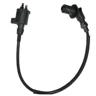    Ignition Computers, Spark Plugs, Ignition Coils, Spark Plug Wires