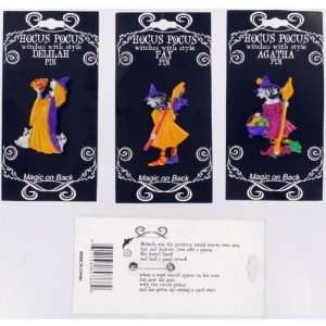  Assorted Witch Poem Pins Case Pack 3 