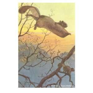 Flying Squirrel Premium Poster Print, 8x12