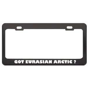 Got Eurasian Arctic ? Animals Pets Black Metal License Plate Frame 