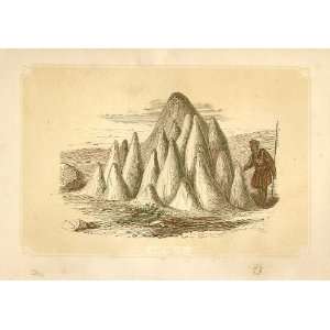  Ant Hills 1860 Coloured Engraving Sepia Style