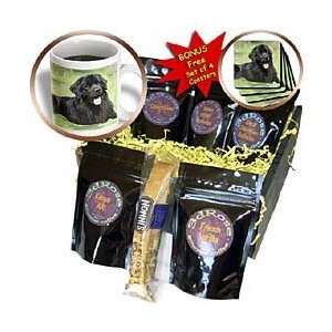 Dogs NewFoundLand   Newfoundland   Coffee Gift Baskets   Coffee Gift 