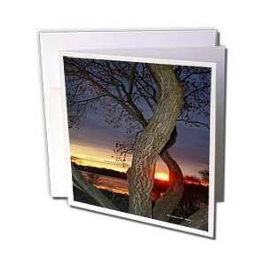 SmudgeArt Sunset Photography Designs   Tree Framed Sunset 