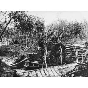  French Artillery Camouflaged on the French Front in France 