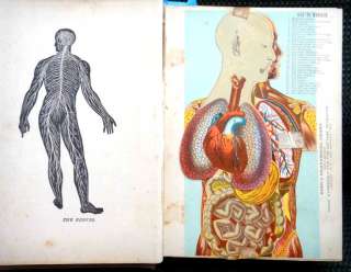 Nice flip up dimensional kings anatomical chart does have 2 pieces of 