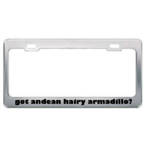 Got Andean Hairy Armadillo? Animals Pets Metal License Plate Frame 