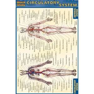     Inc. 9781572227583 Circulatory System  Pack of 3
