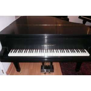  Bluthner Baby Grand Piano Musical Instruments