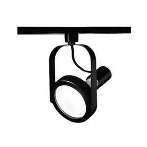  Hubbell Lighting Par38 Gimbal Ring/whte Track Fixtures 