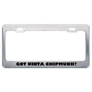  Got Uinta Chipmunk? Animals Pets Metal License Plate Frame 