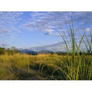  Hills Loom in the Distance on a Grassland under a Cloud 