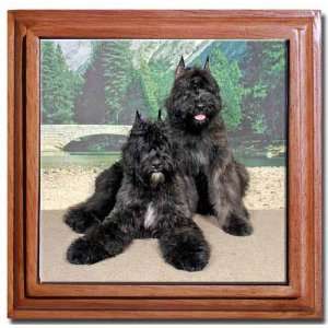  Bouvier des Flanders Tile Trivet