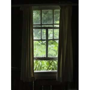  Looking Out Through a Weathered Window to Lush Green 