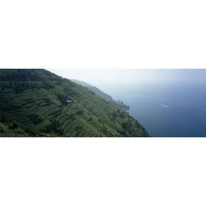  Vineyards at the Coast, Riomaggiore, La Spezia, Liguria, Italy 