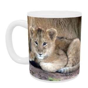 New arrival at Twycross zoo   Lion cub   Mug   Standard Size  