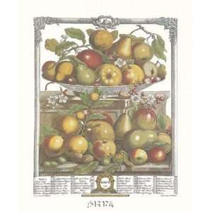  Twelve Months of Fruits, 1732/March   Poster by Robert 