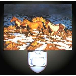  Sunset Run Decorative Night Light