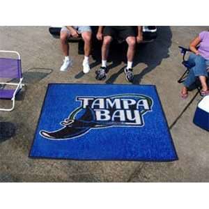  Tampa Bay Rays Merchandise   Area Rug   5 X 6 Tailgater 