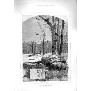   1880 WEATHER MONTH JANUARY TREES SNOW BIRDS MONTBARD