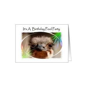  Birthday Pool Party / Baby Ostrich Card Health & Personal 