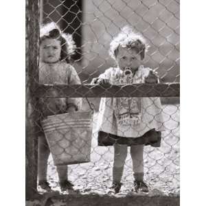  Two Baby Girls Looking Out from Behind a Fence Premium 