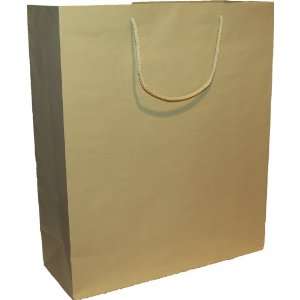 100 Celery Color Heavy Paper Tint tote with Soft Cord 