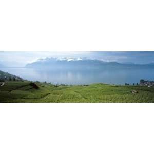  Landscape, Lake Geneva, Switzerland by Panoramic Images 
