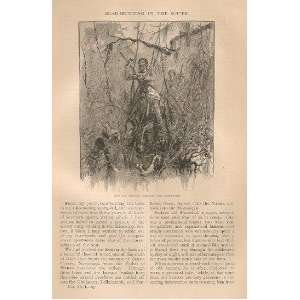    1881 Bear Hunting in the South Mississippi Tunica 