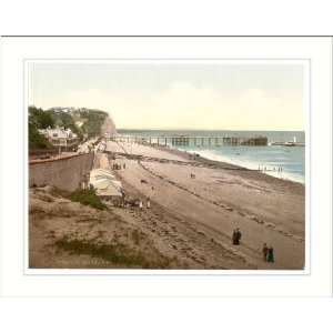  Beach and pier Penarth Wales, c. 1890s, (M) Library Image 