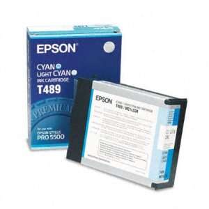  Epson T489011 Ink EPST489011