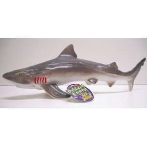  Toy Hound Shark with Squeaker Toys & Games
