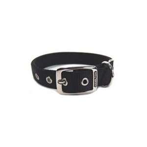   Dlx Dg Collar / Black Size 1 X20 By Hamilton Pet Company