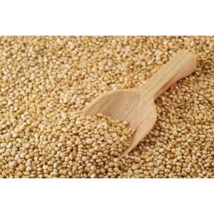   Organic Non GMO Whole Grain  Grocery & Gourmet Food