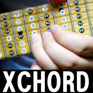 XCHORD Melody Scale Electric & Ac Guitar Sticker   XGT  