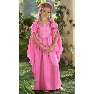    Fairy Tale Renaissance Maiden Child Costume Med