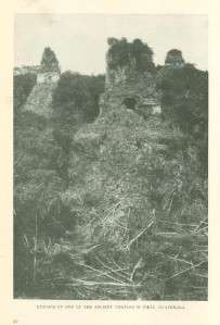 1912 Guatemala Pyramid & Temple At Tikal  