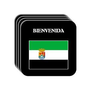  Extremadura   BIENVENIDA Set of 4 Mini Mousepad Coasters 