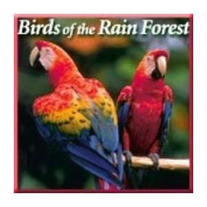  Birds of the Rain Forest CD