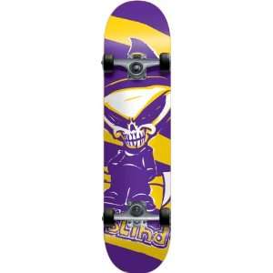  Blind Reaper Complete Skateboard, Purple, MID7.3 Sports 